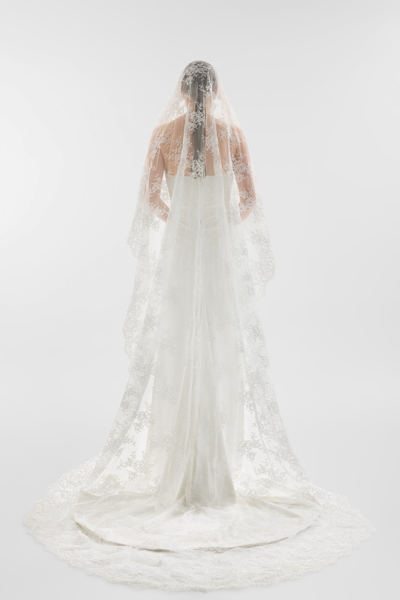 Celeste Veil – KYHA-US display picture 2